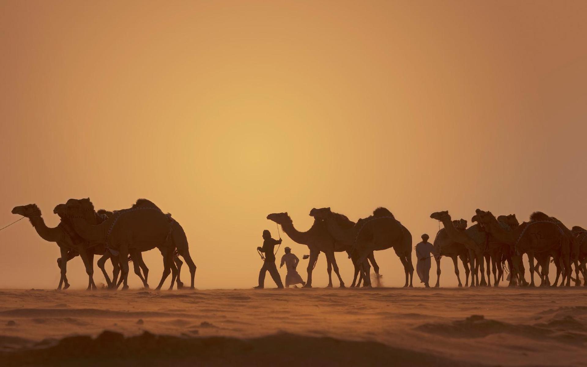 Jereirah Anantara Qasr Al Sarab Desert Resort מראה חיצוני תמונה